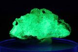 Extremely Fluorescent Botryoidal Hyalite Opal - Nambia #283796-1